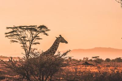 Kenya, features and locations