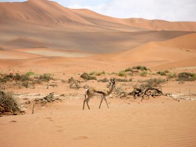 Namibia, features and locations
