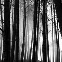 Svalbard and Jan Mayen, features and locations