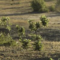 Trinidad and Tobago, features and locations