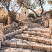 Israel, features and locations