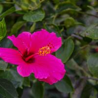 Martinique, features and locations