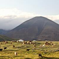Mongolia, features and locations