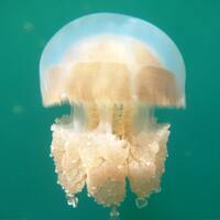 Palau, features and locations