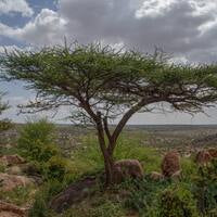 Somalia, features and locations